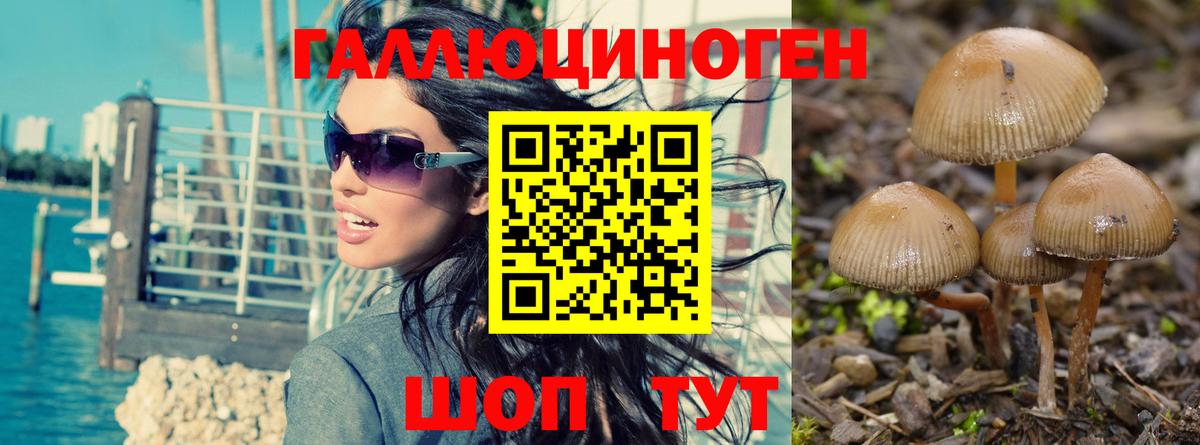 Псилоцибиновые грибы Psilocybe  Вход с VPN  Псилоцибиновые грибы Magic Shrooms  Саратов 